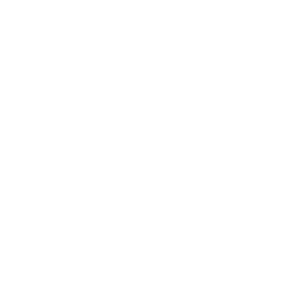 Contact Us Icon
